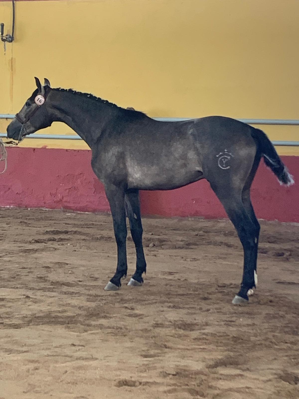Fotografía