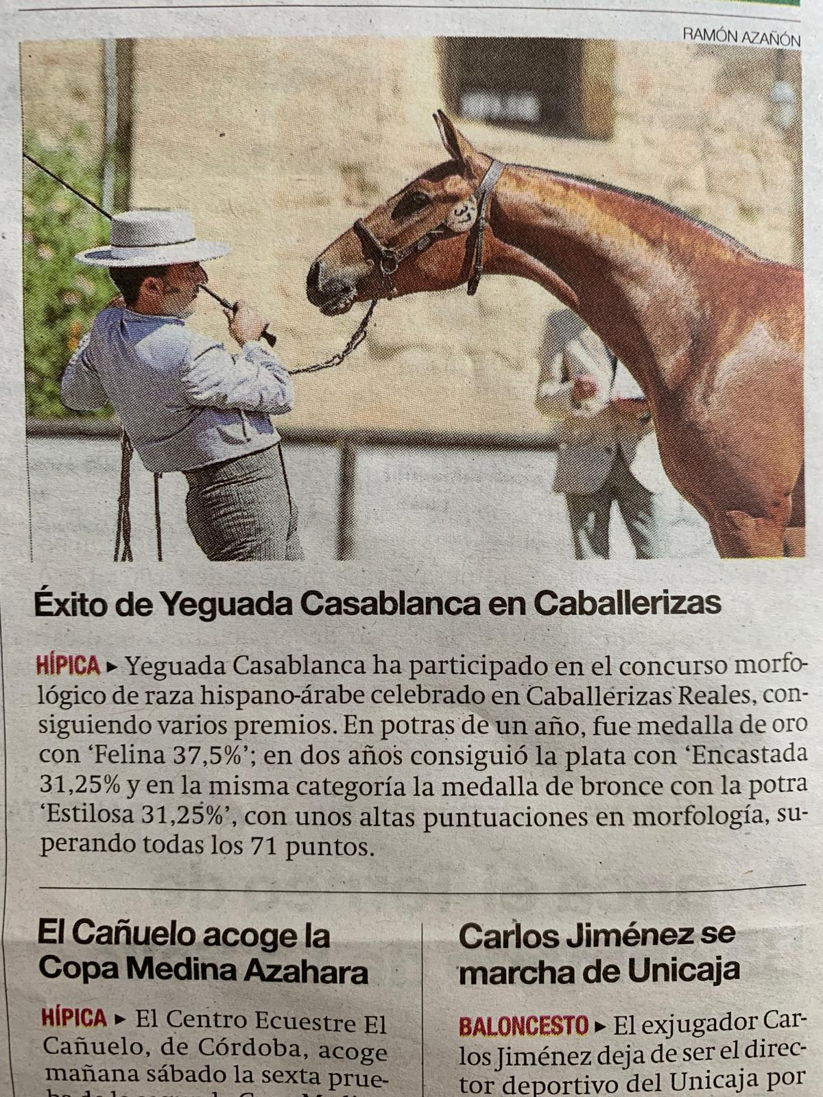 Fotografía