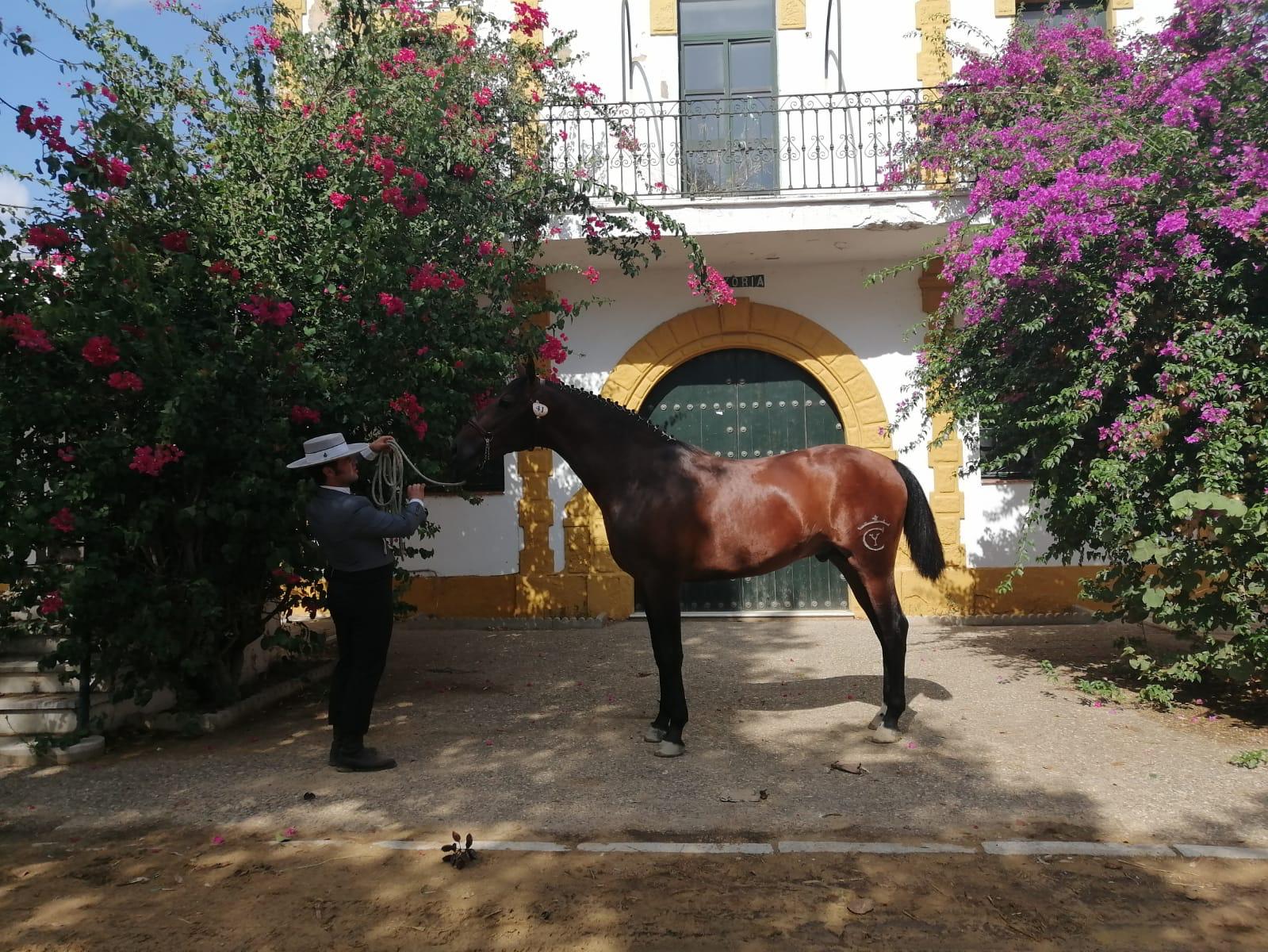 Fotografía