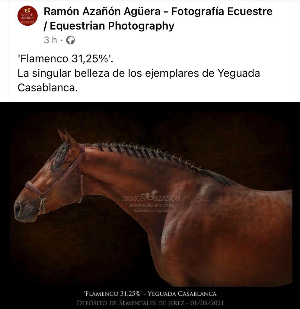 Fotografía