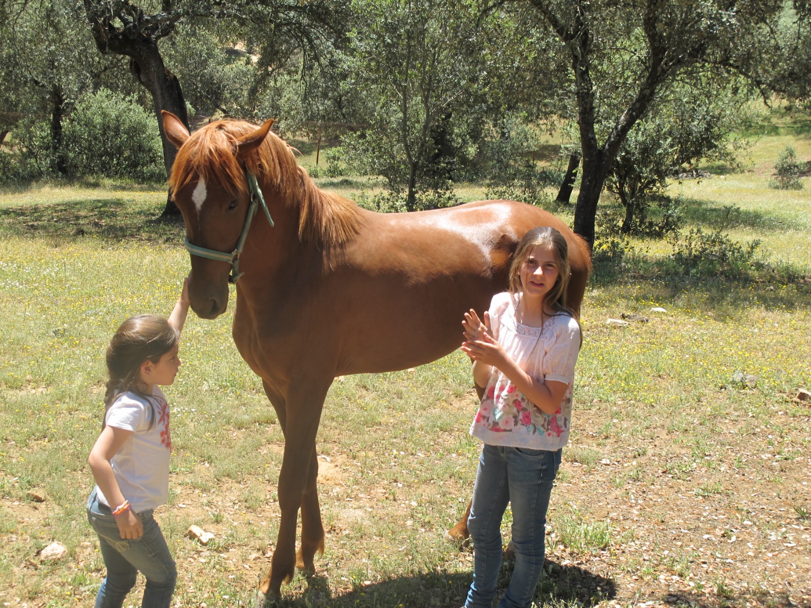 Potra con las hijas de la casa